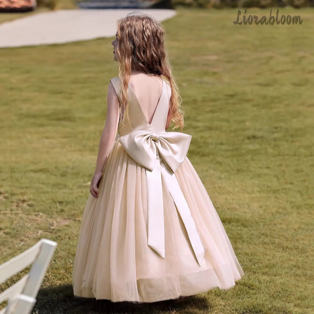 فستان أميرة متعدد الألوان بدون - مراجعة Woman Formal Wear وسعره